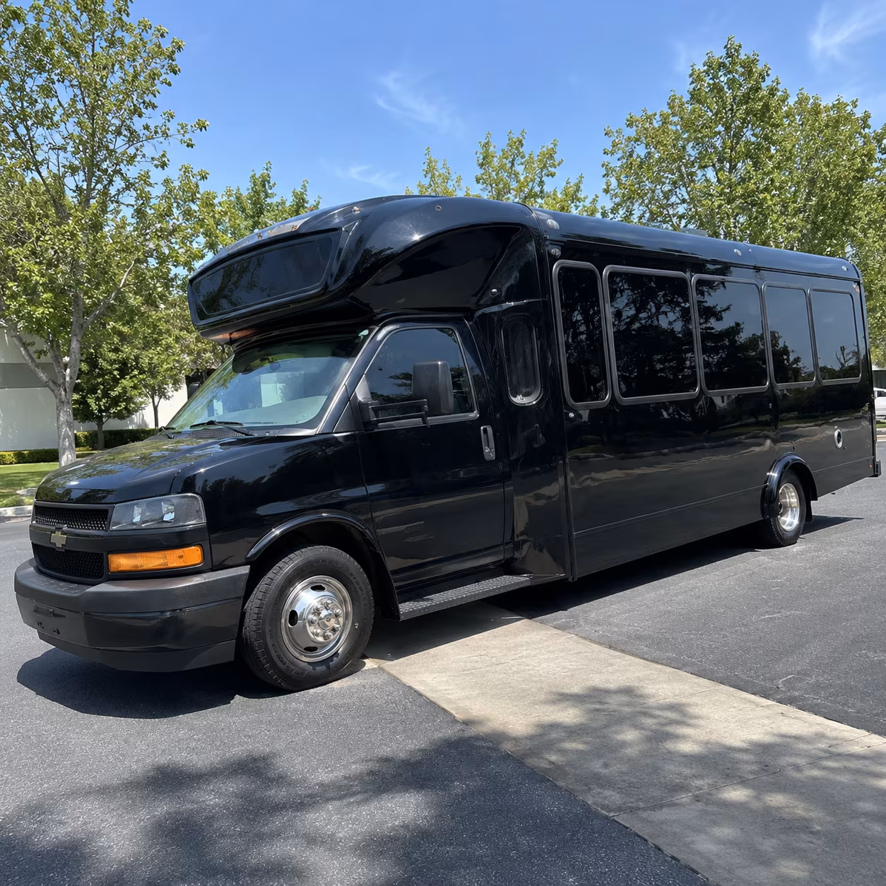 carrollton 15 passenger party bus