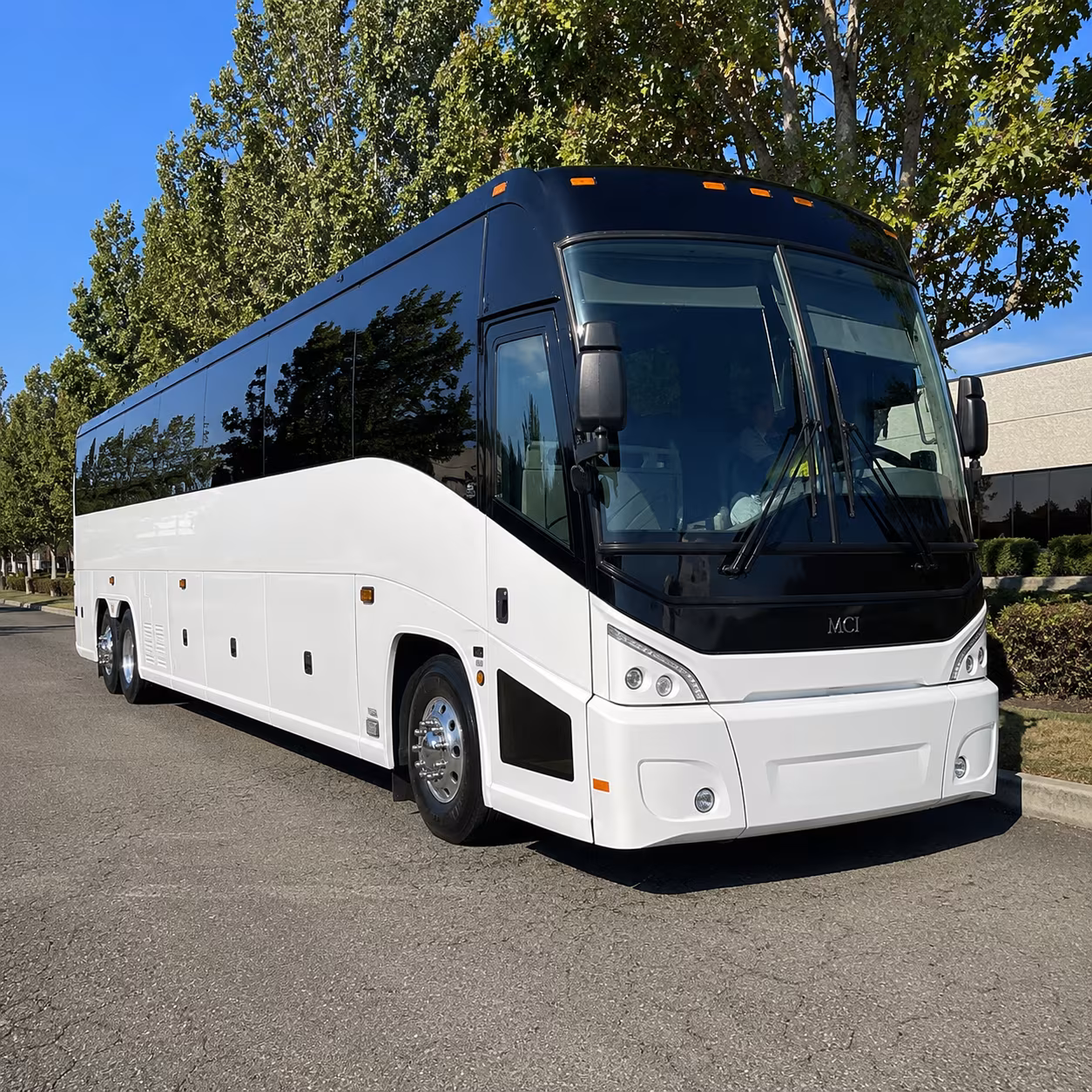 carrollton 50 passenger charter bus
