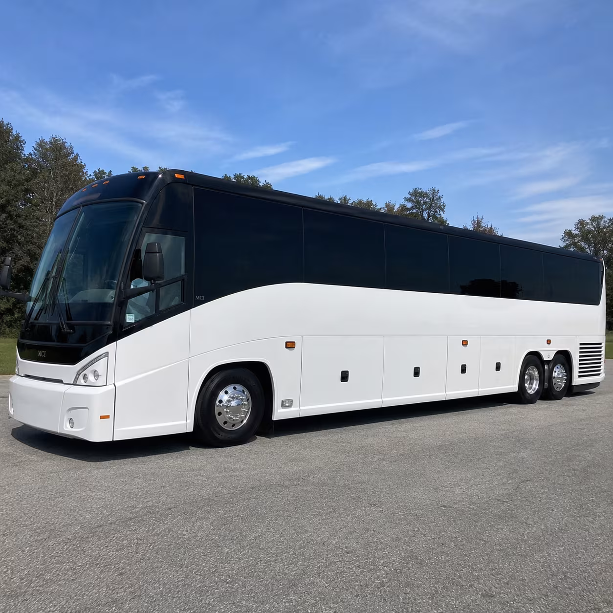 carrollton birthday party transportation onboard seating