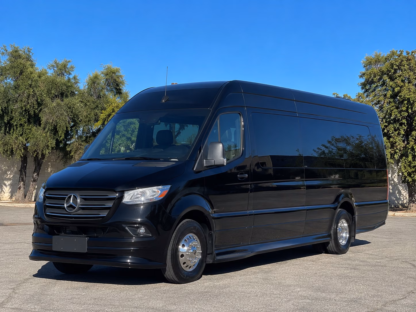 carrollton sprinter van with driver